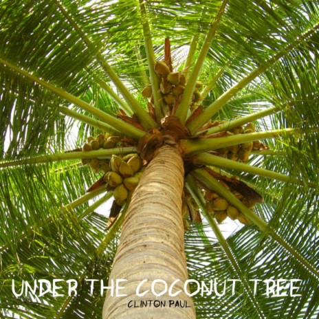 Under the Coconut Tree | Boomplay Music