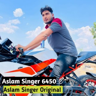 Aslam Singer 6450