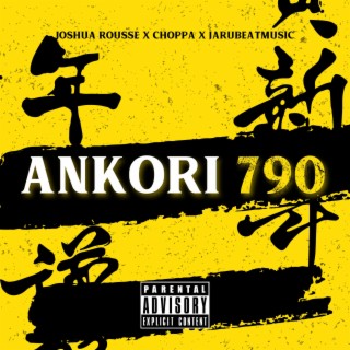 Ankori 790