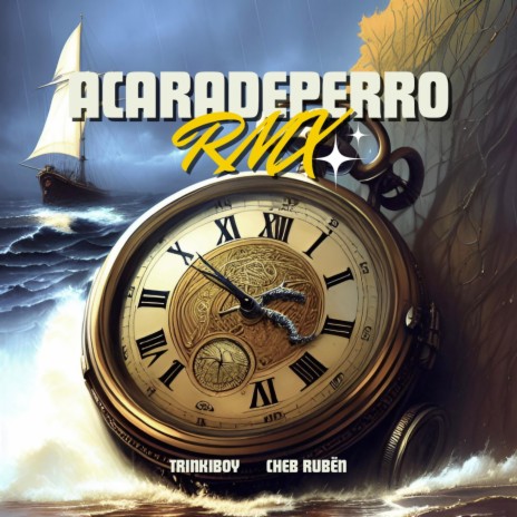 Acaradeperro (Remix) ft. Cheb Ruben | Boomplay Music