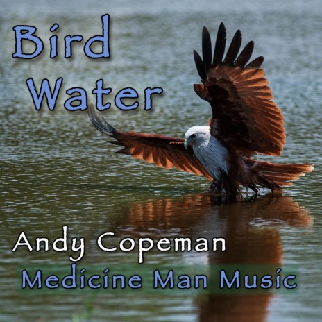 Bird Water | Boomplay Music