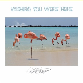 Wishing You Were Here