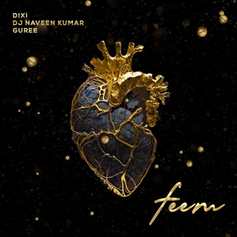 Feem ft. DJ Naveen Kumar & Guree