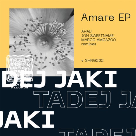 Amare (Original Mix) | Boomplay Music