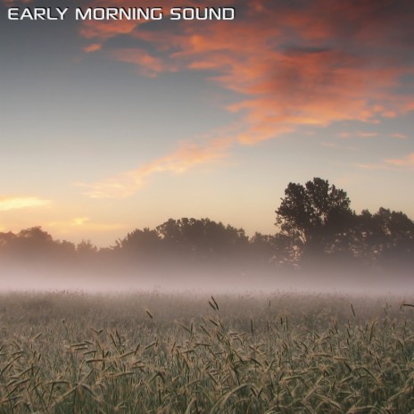 Early Morning Sound (feat. White Noise of the Wind, White Noise Sleep Sounds, White Noise Soundscapes, Discovery Nature Sound & Discovery Nature Soundscapes) | Boomplay Music