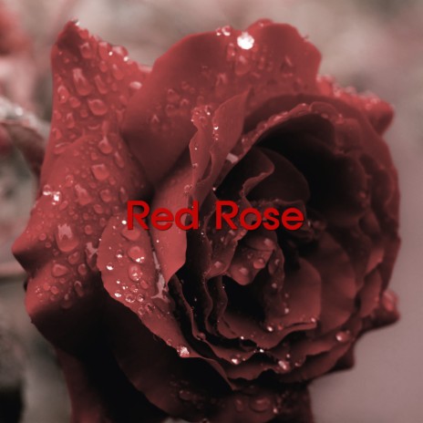 Red Rose | Boomplay Music