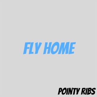 Fly Home