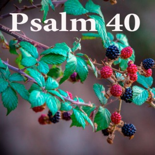 Psalm 40