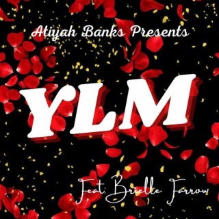 YLM ft. Brielle Farrow lyrics | Boomplay Music