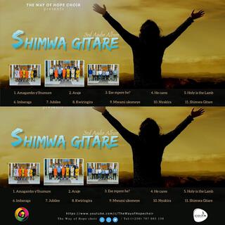 SHIMWA GITARE