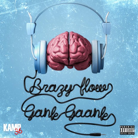 Brazy Flow | Boomplay Music