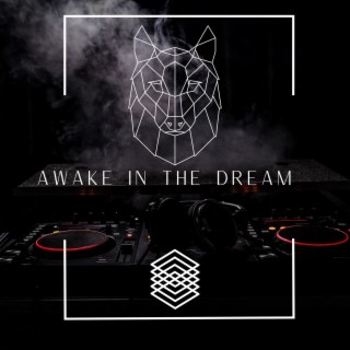 Awake in The Dream