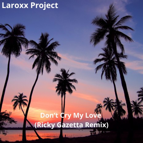 Don't Cry My Love (Ricky Gazetta Remix) ft. Ricky Gazetta | Boomplay Music