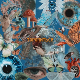 Торопиться