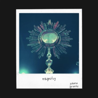 Magnify