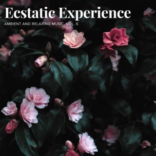 Ecstatic Experience - Ambient and Relaxing Music, Vol. 6