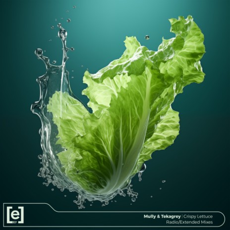 Crispy Lettuce (Extended Mix) ft. Tekagrey | Boomplay Music