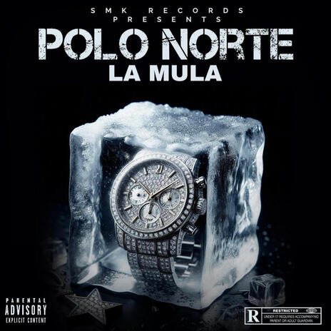 POLO NORTE | Boomplay Music