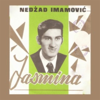 Nedzad Imamovic