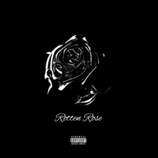 Rotten Rose