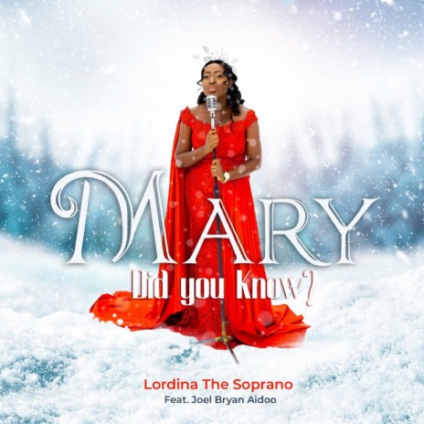 Mary, Did You Know? ft. Joel Bryan Aidoo | Boomplay Music