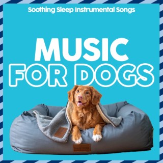 Music For Dogs - Soothing Sleep Instrumental Songs