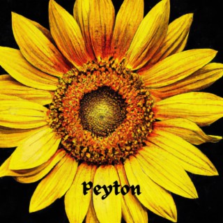 Sunflower lyrics | Boomplay Music