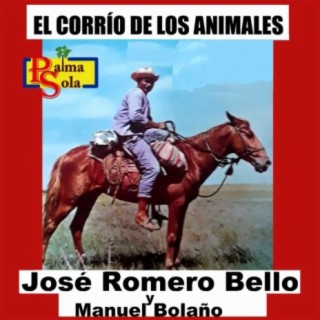 José Romero Bello