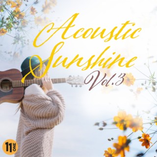 Acoustic Sunshine vol. 3
