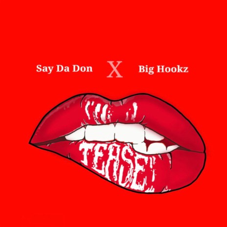 Tease ft. Big Hookz | Boomplay Music