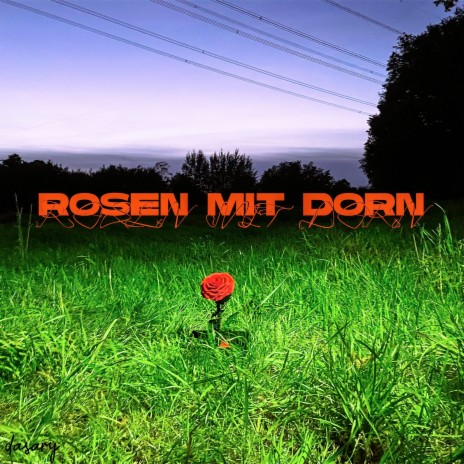 Rosen mit Dorn | Boomplay Music