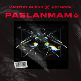 PASLANMAM