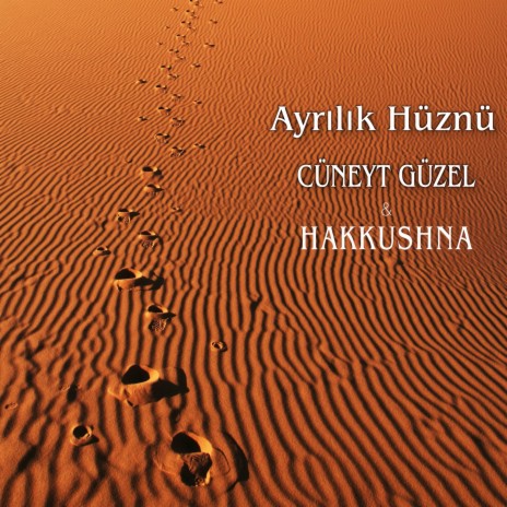 Ayrılık Hüznü ft. Cüneyt Güzel | Boomplay Music
