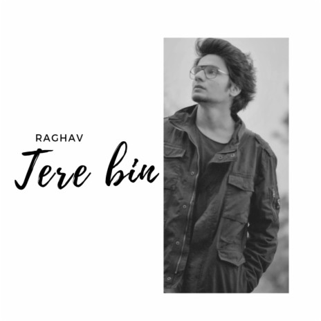 Tere Bin | Boomplay Music