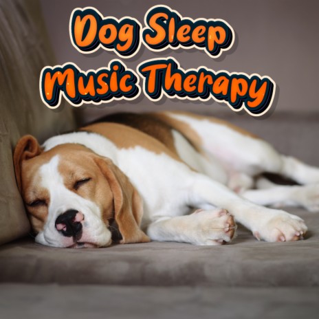 Dog Sleep Music Therapy - Sounds for Dog ft. Make A Dog Sleep All Night &  Help My Pet Sleep MP3 Download & Lyrics | Boomplay