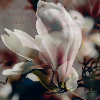 Magnolia Adriana's Heart