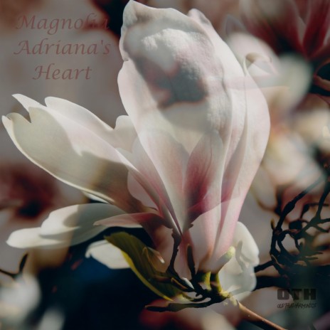 Magnolia Adriana's Heart | Boomplay Music