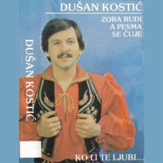 Dusan Kostic