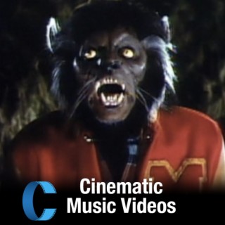 282. Cinematic Music Videos