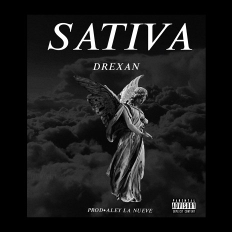 Sativa