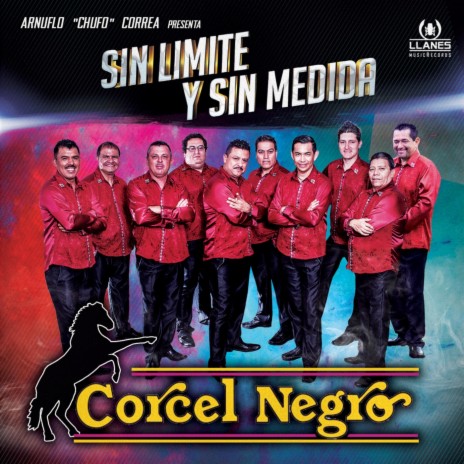 Sin Limite y Sin Medida | Boomplay Music