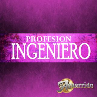 Profesion Ingeniero