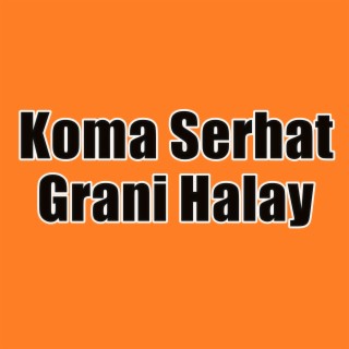 Koma Serhat Grani Halay Kasedi