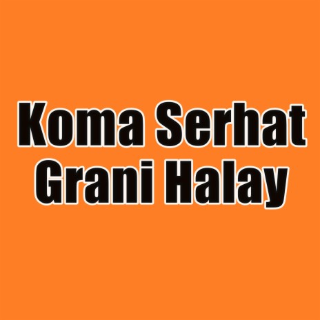 Grani Tulum Halay Kürtçe Şarkı | Boomplay Music