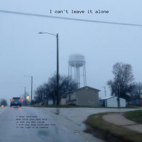 I can't leave it alone | Boomplay Music