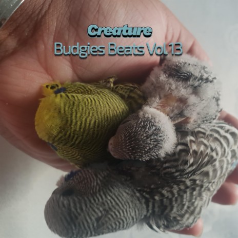 Budgies Beats XII (Vol XIII)