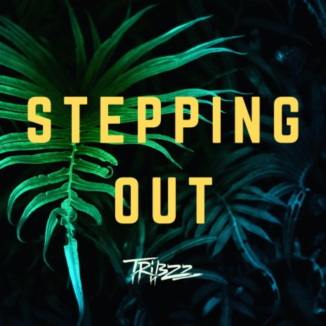 Stepping Out | Boomplay Music