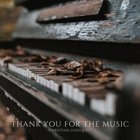 Thank You For The Music | Boomplay Music