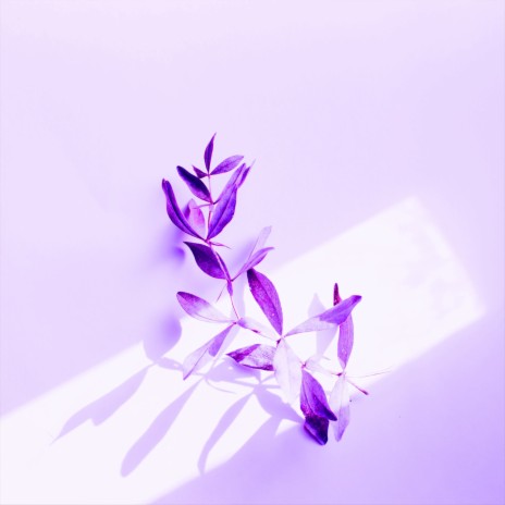 Flowers | Boomplay Music