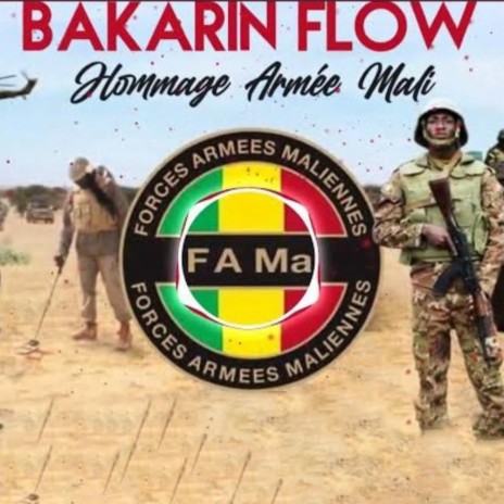 Hommage Armée Mali